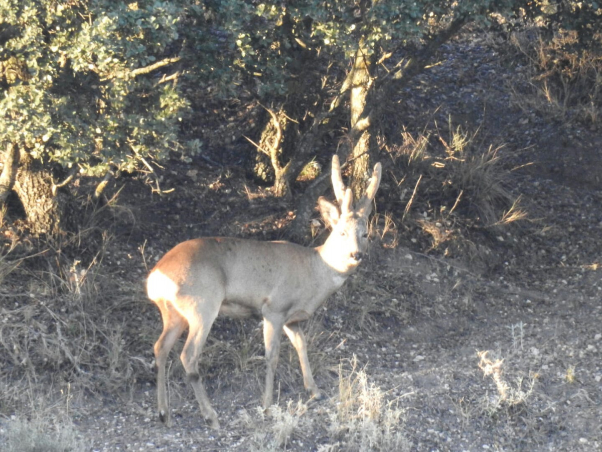 IMG 20201206 WA0024