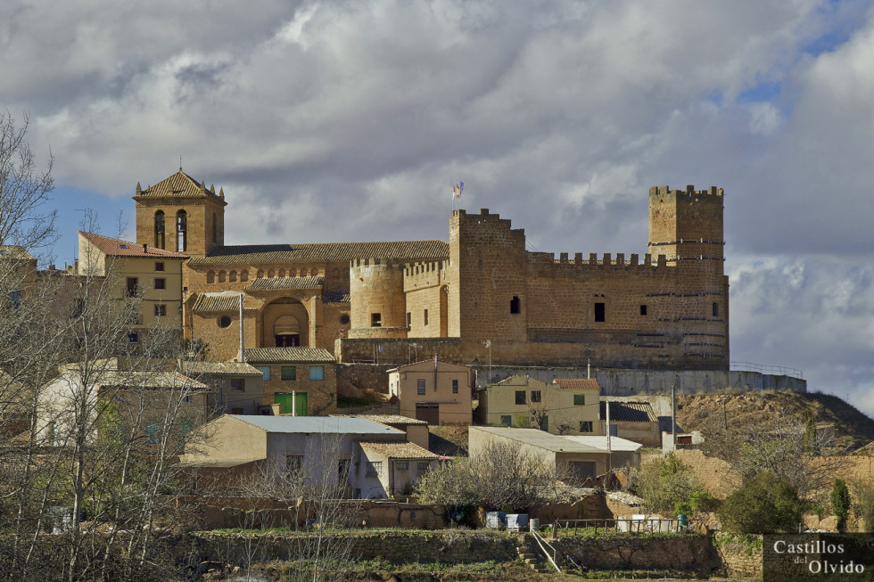 Castillo de Monteagudo de las Vicarías 9345