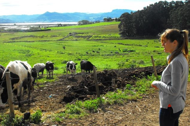 Explotacion vacuno Cantabria LUCIA LOPEZ EDIIMA20151125 0829 5