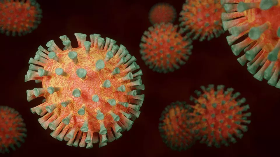 Coronavirus (1)