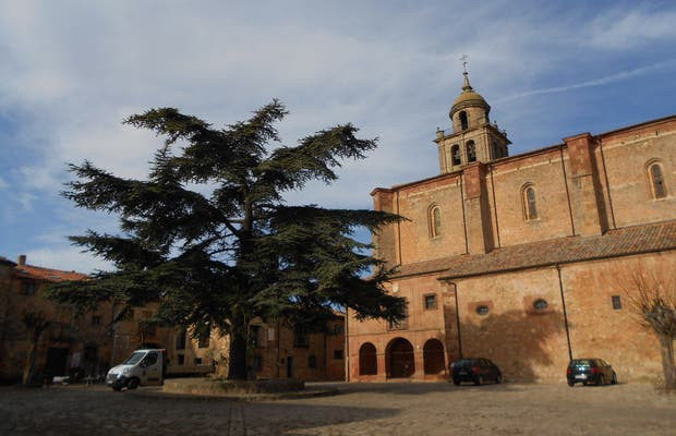 Colegiata de nuestra senora de la asuncion