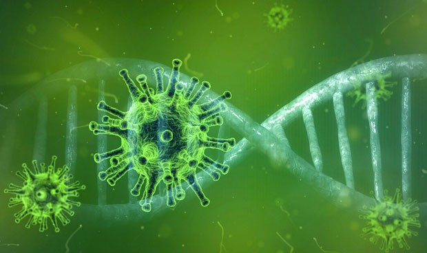 Coronavirus origen evolucion por que no es igual sars mers 1429