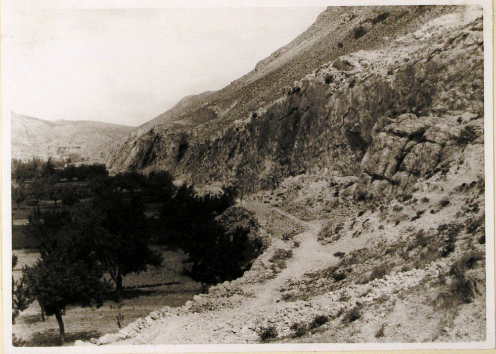 Pacheco2