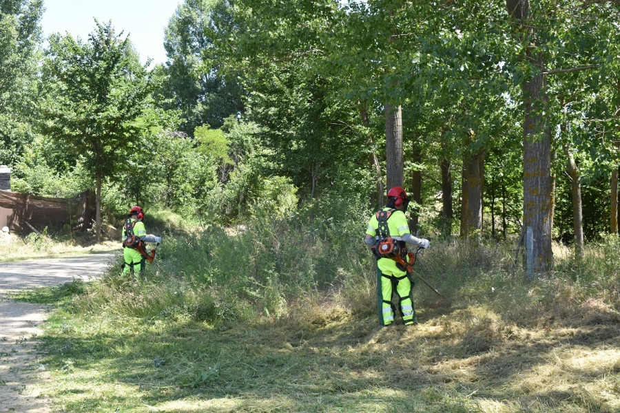 Brigadas forestales trabajando