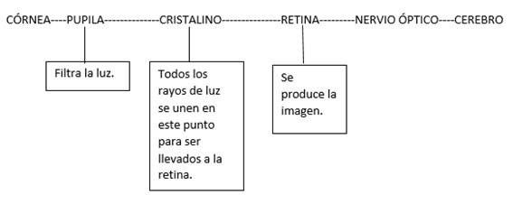 OJO2