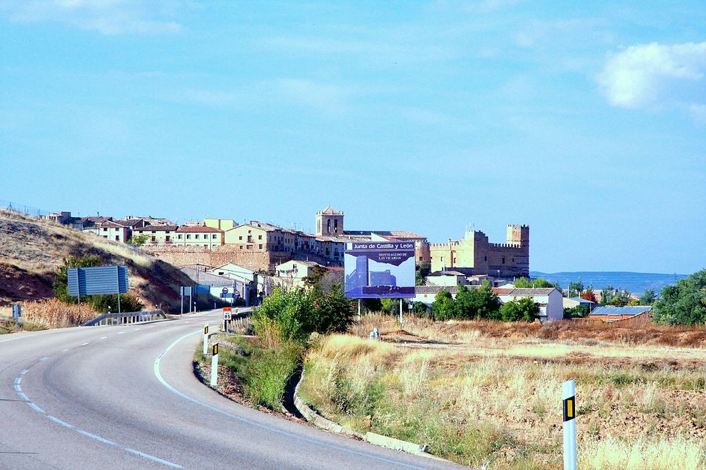 Vista general   Monteagudo de las Vicarias