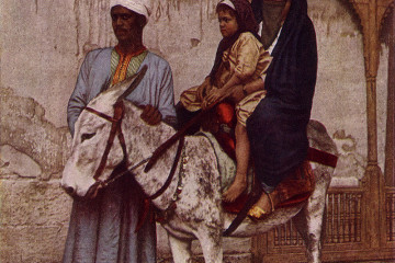 Jalondomingo (15)