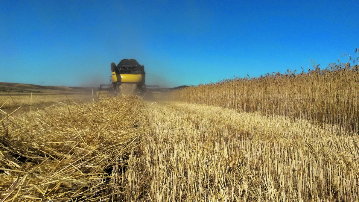 Cosecha Campo Agricultura 2