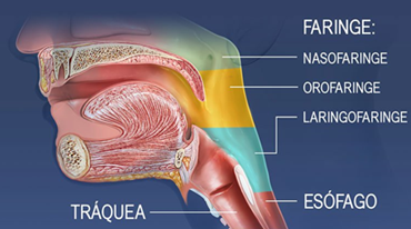 Imagen4