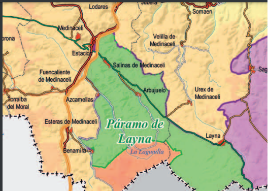 Paramo