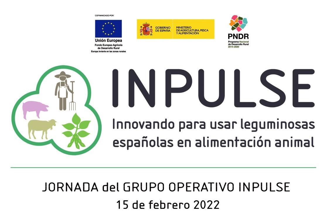 Impulse