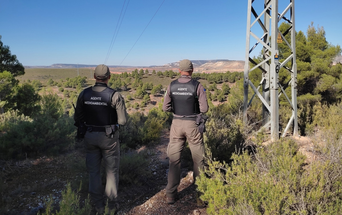 Agentes medioambientales en el servicio de vigilancia