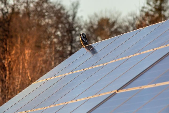 Limpiar paneles solares 202285628 1647340885 2
