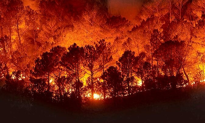 Incendio Forestal diariojuridico
