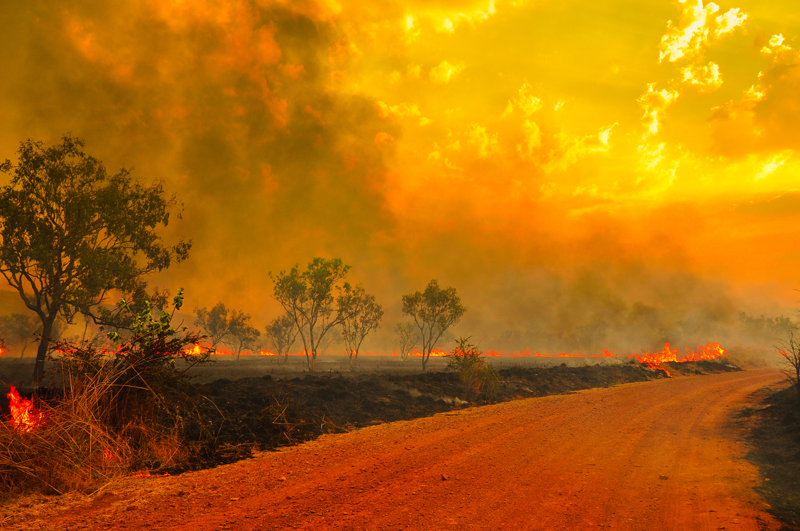 Incendios forestales 2