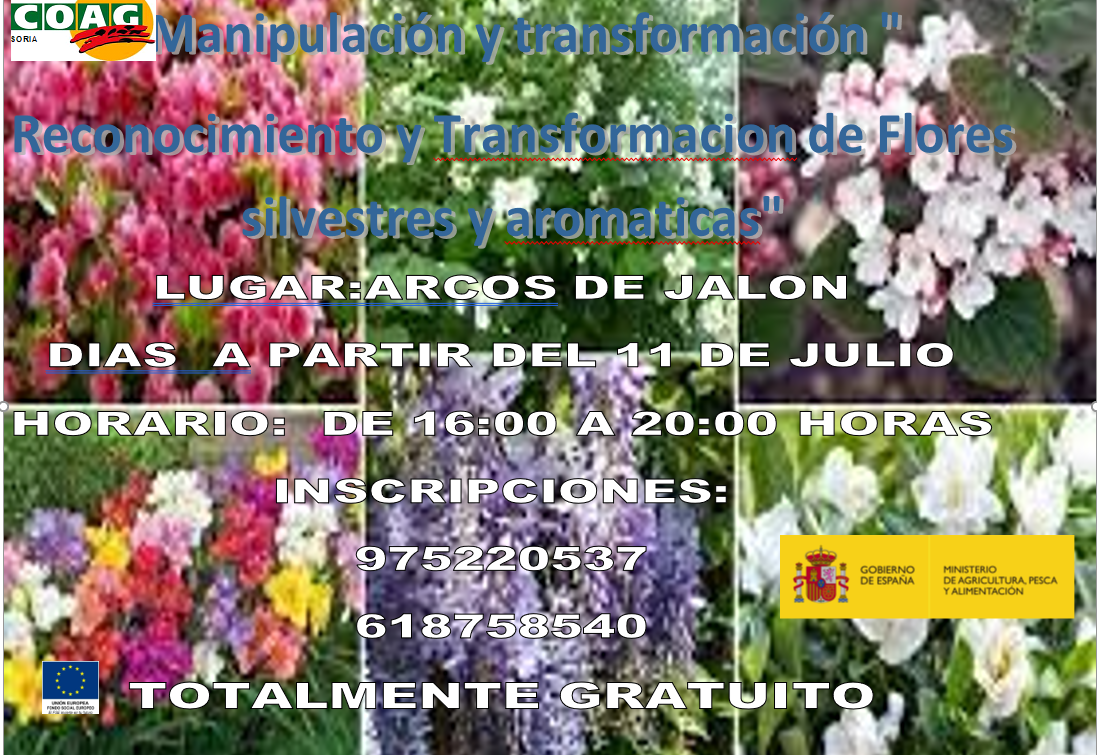 CARTELFLORES