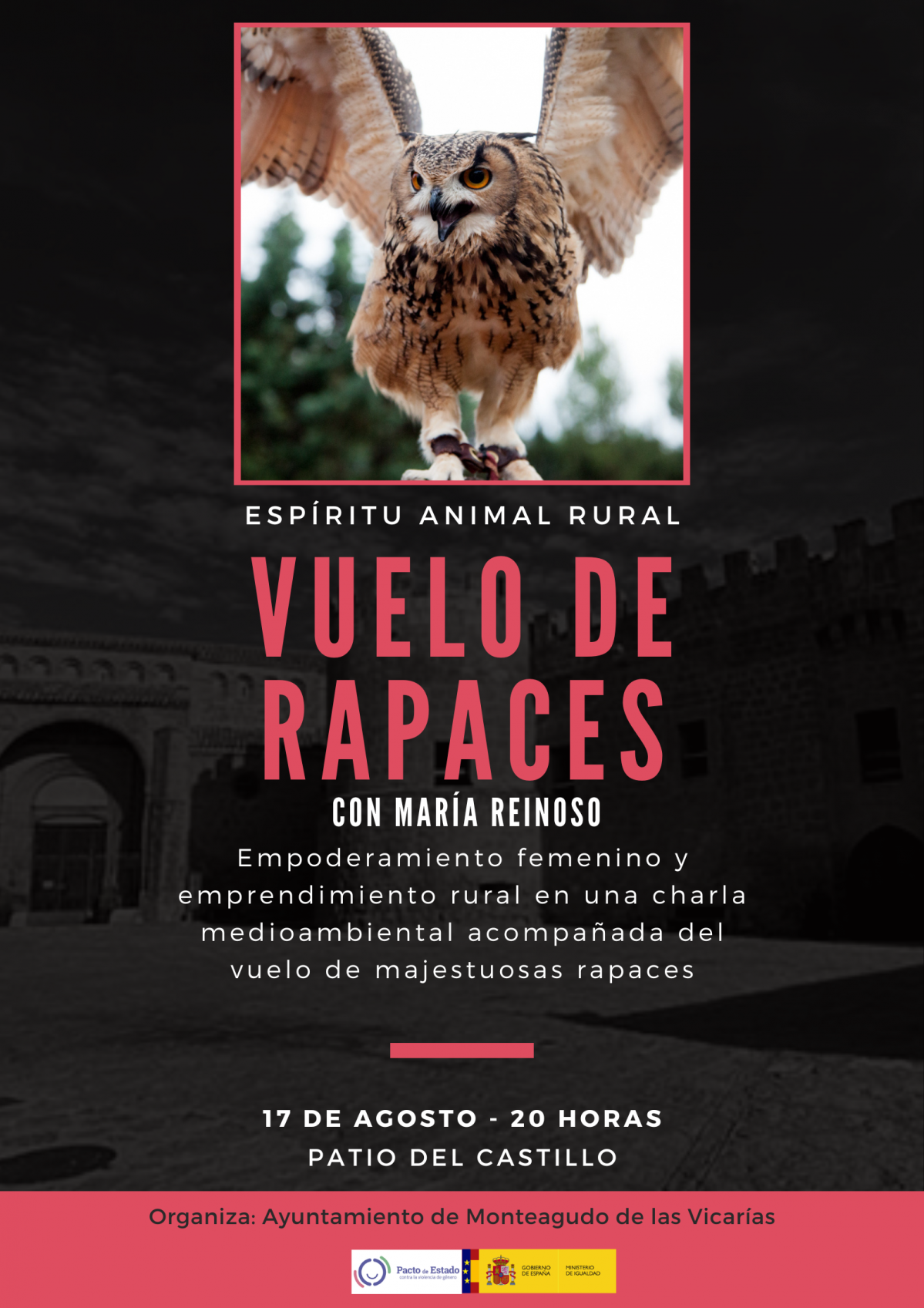 Vuelo de rapaces