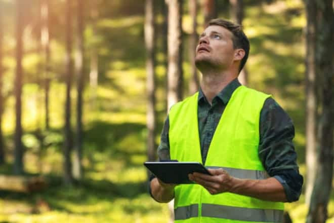 Tecnico Superior en Gestion Forestal