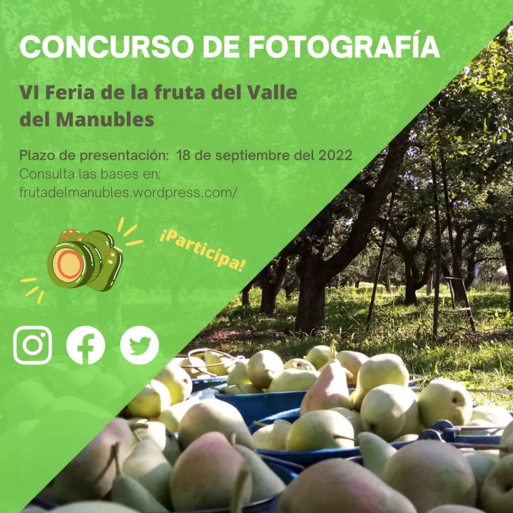 Concurso de fotografia