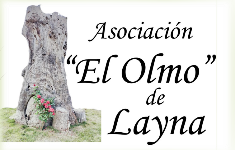 El olmo de layna