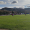 Cd ateca