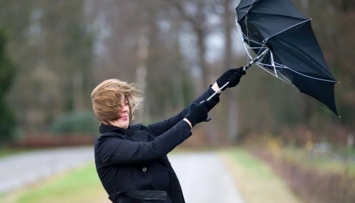 Viento