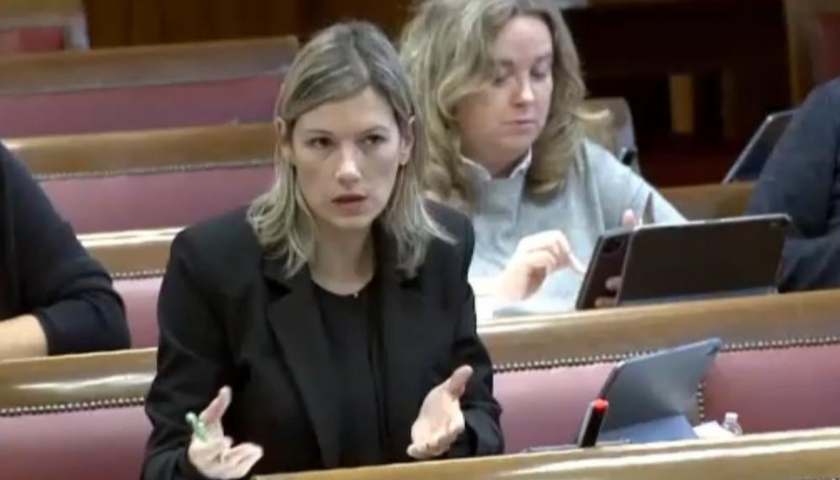 Beatriz maru00edn teruel existe senado