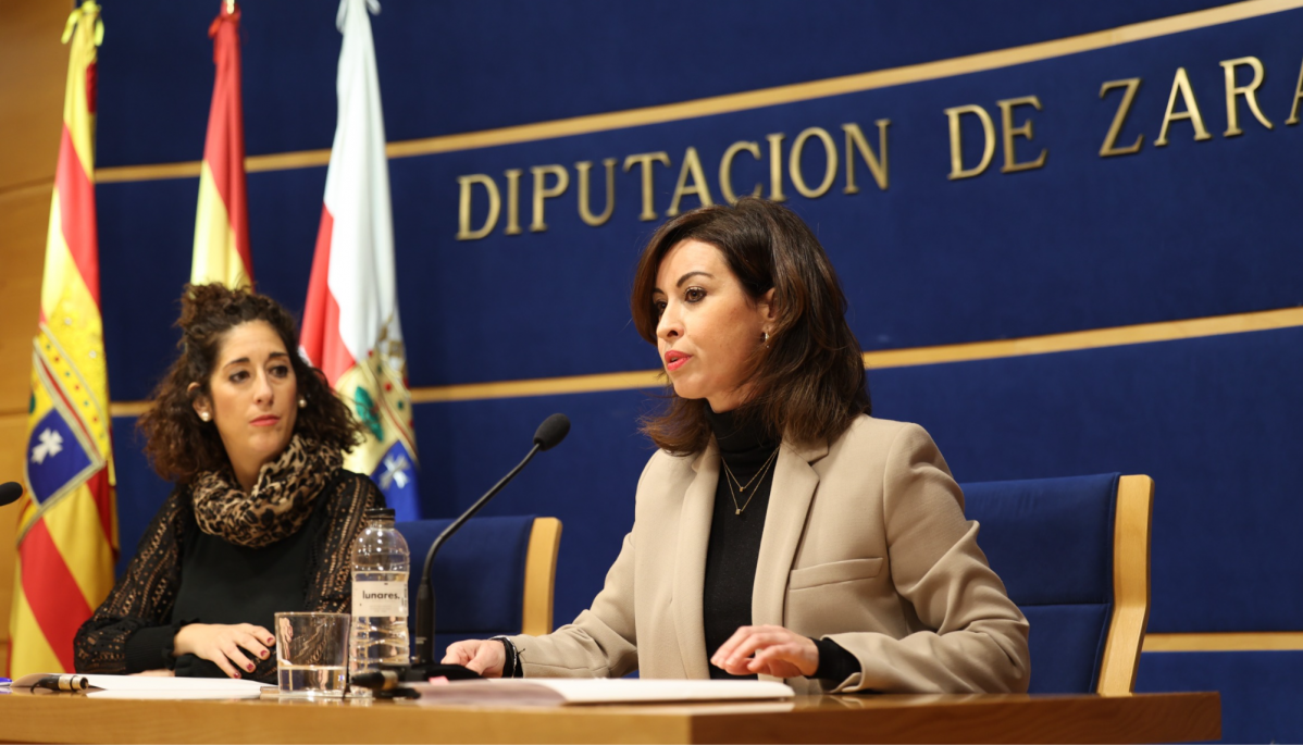 Vicepresidenta dpz