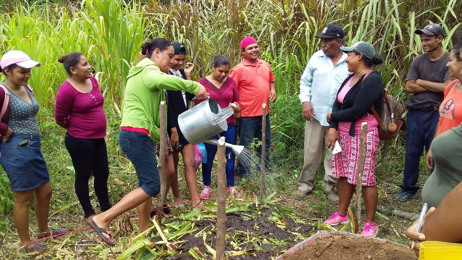 Foto ayudas desarrollo internacional DPZ