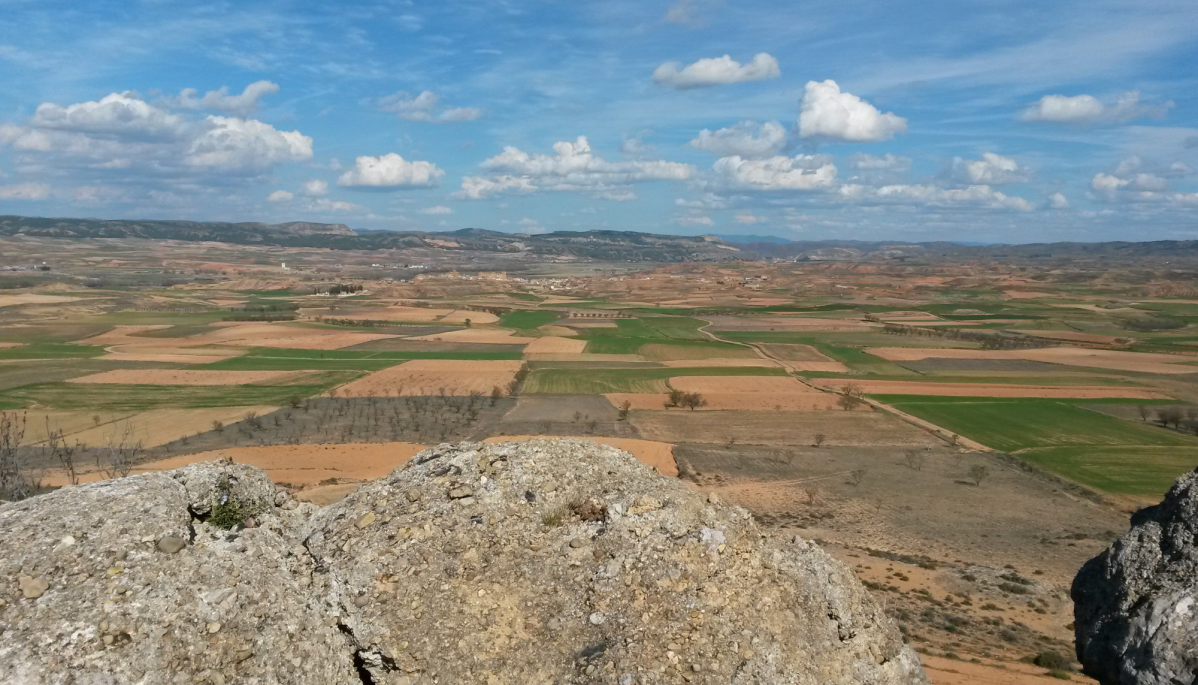 Eras de cetina