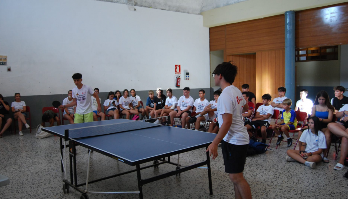 Ping pong cetina