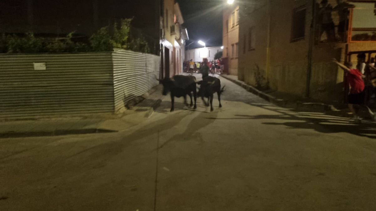 WhatsApp Image 2023 08 14 at 10.20.01 (2)