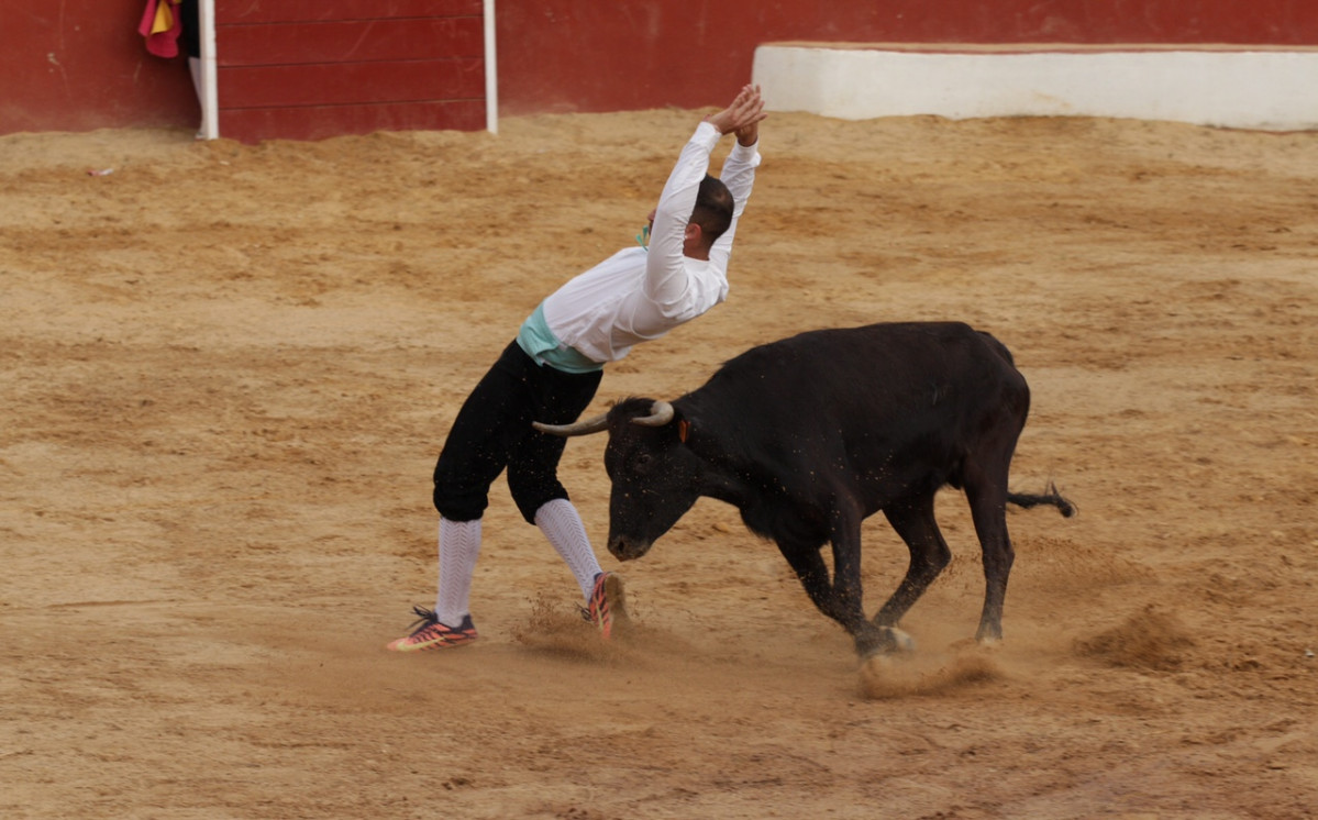 IMG 7254