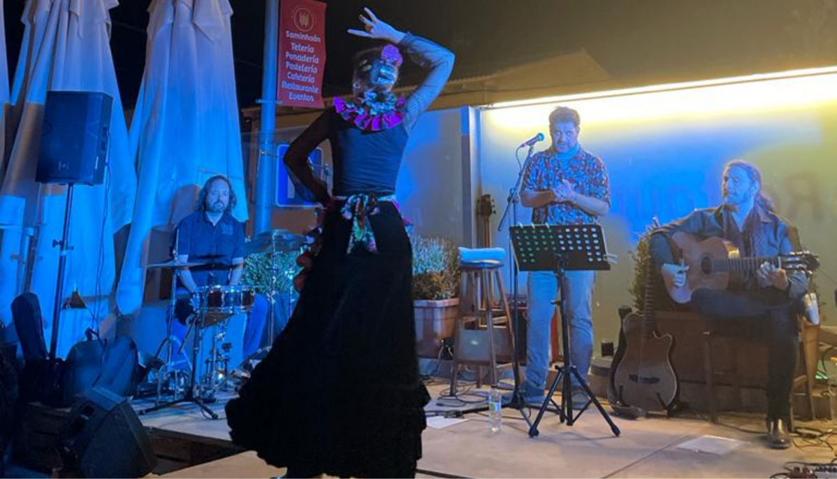 Flamenco saminhaan