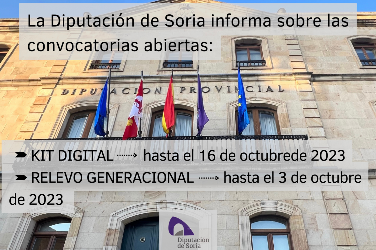 AYUDAS DIP SORIA
