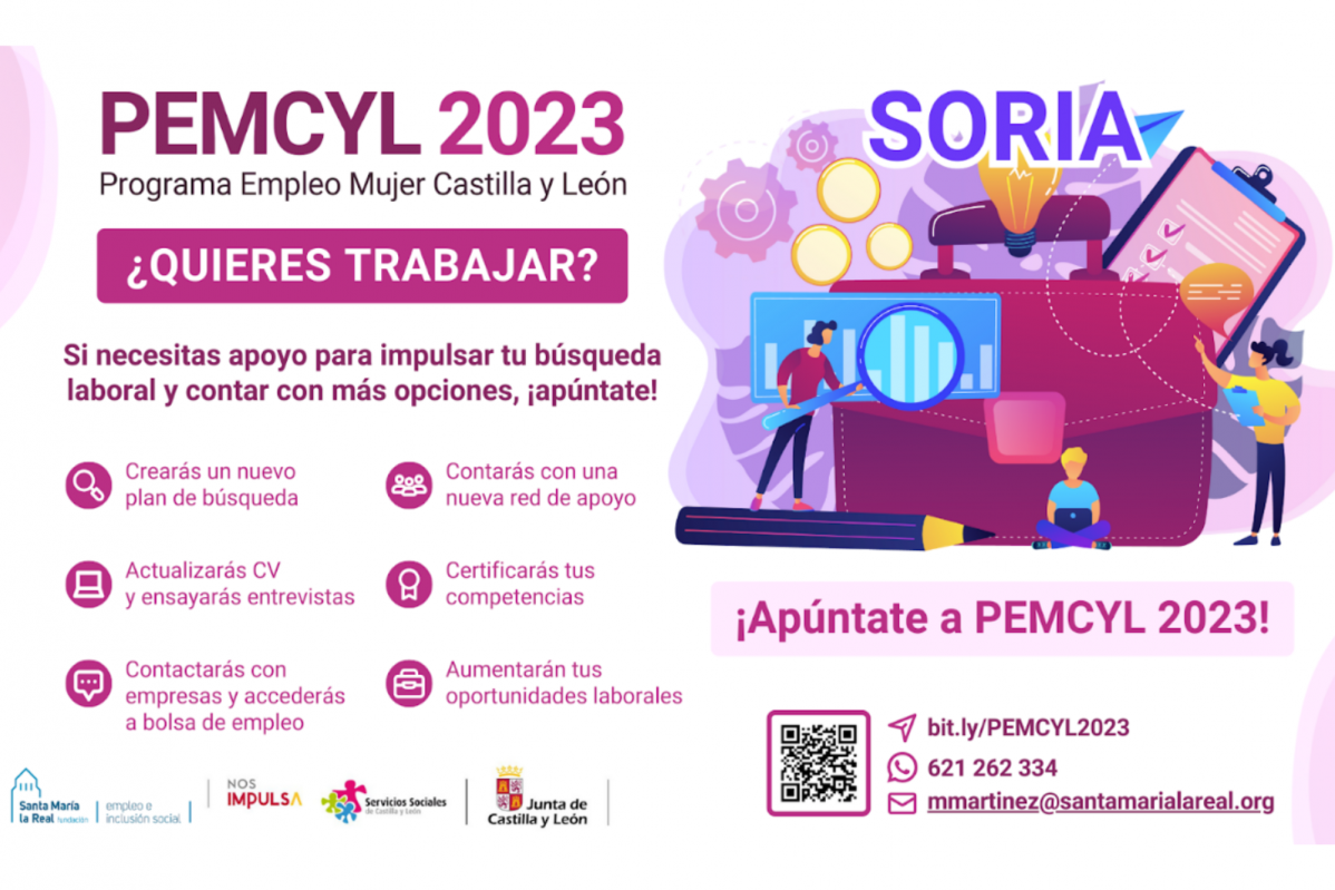 Pemcyl