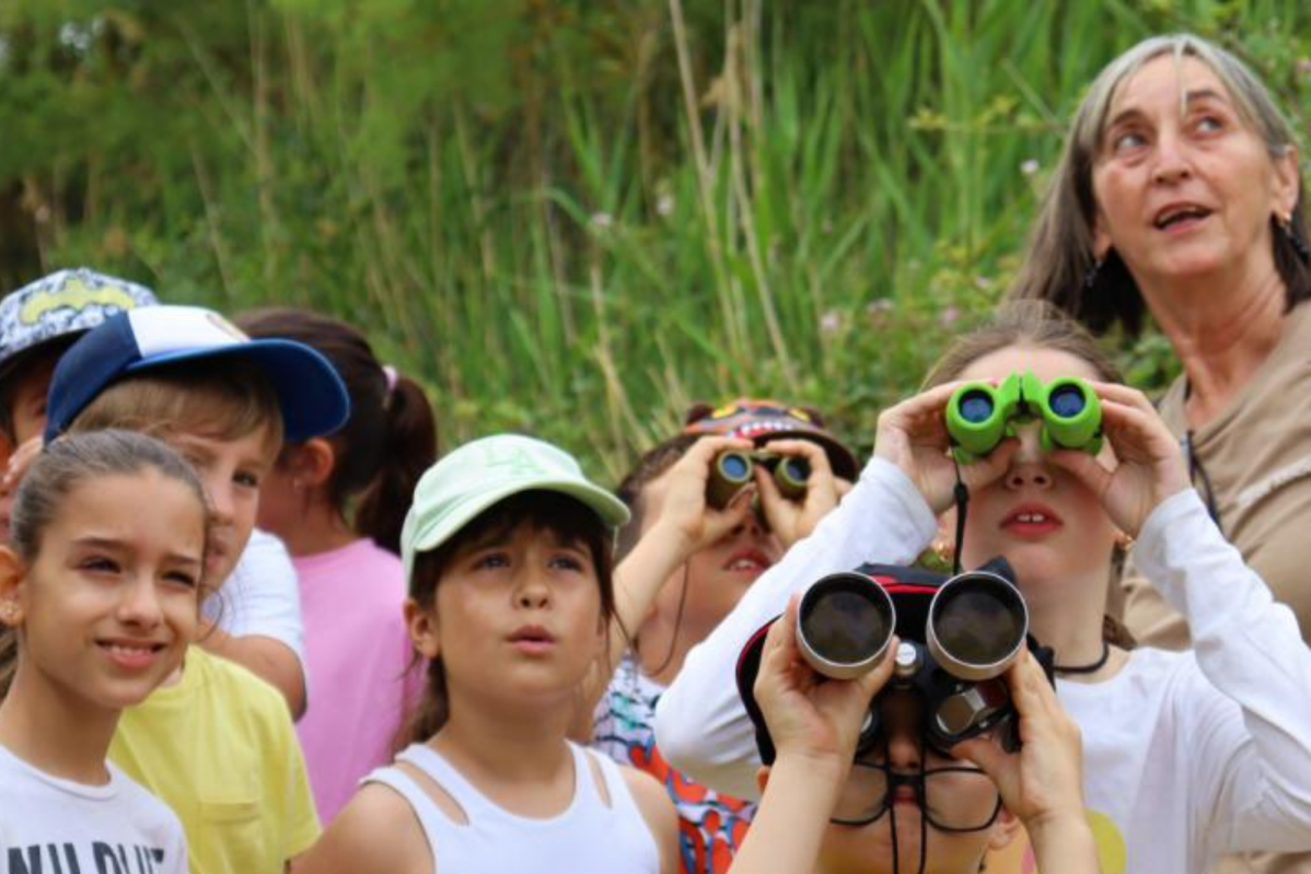 Educacion ambiental