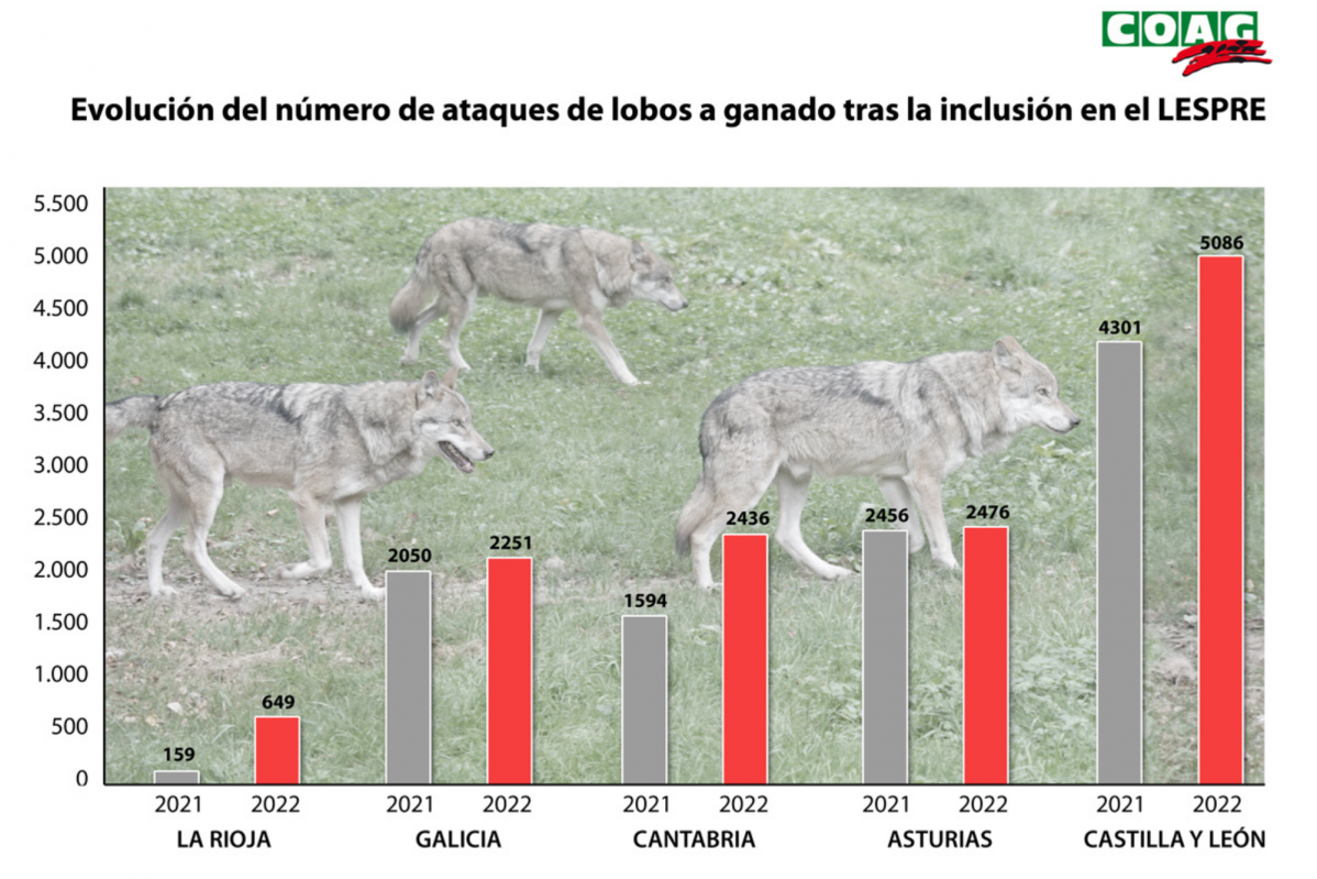 ESTADu00cdSTICAS LOBO