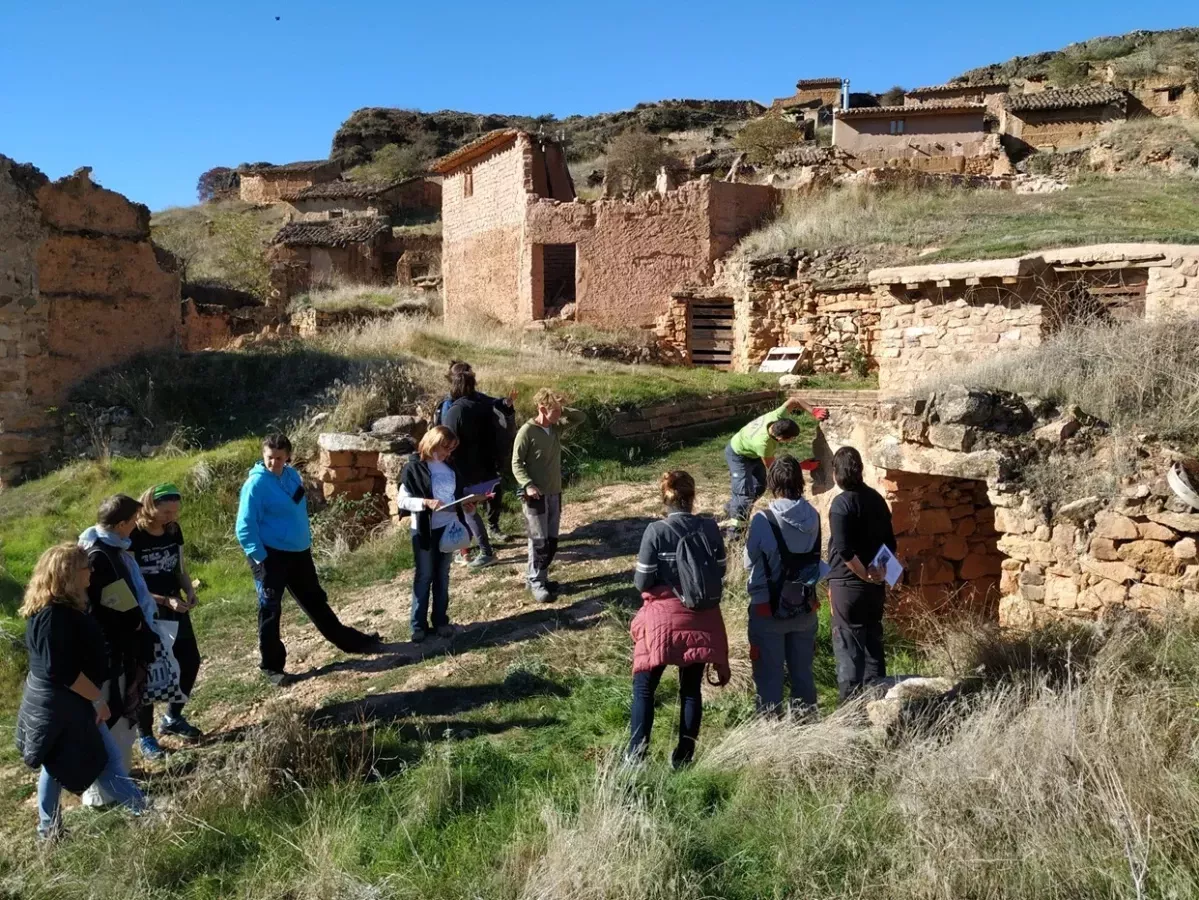 Bodega torrijo