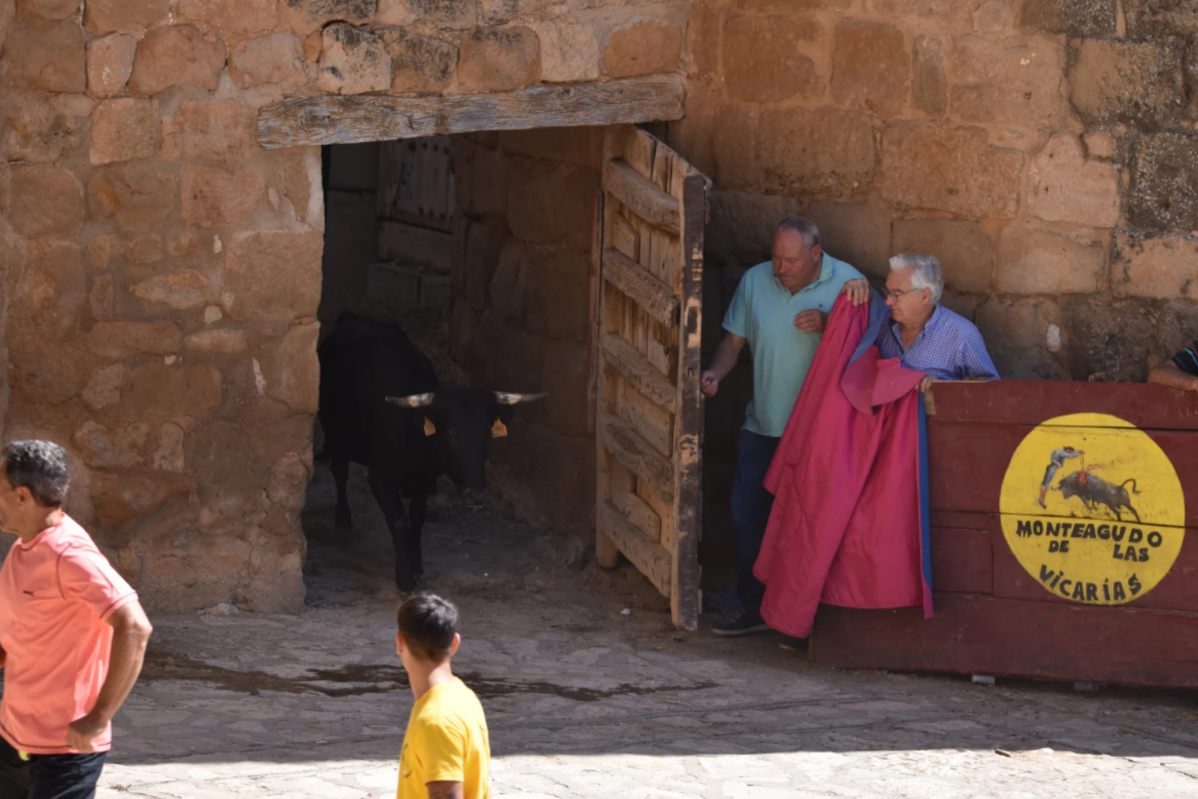 Vaquillas monteagudo