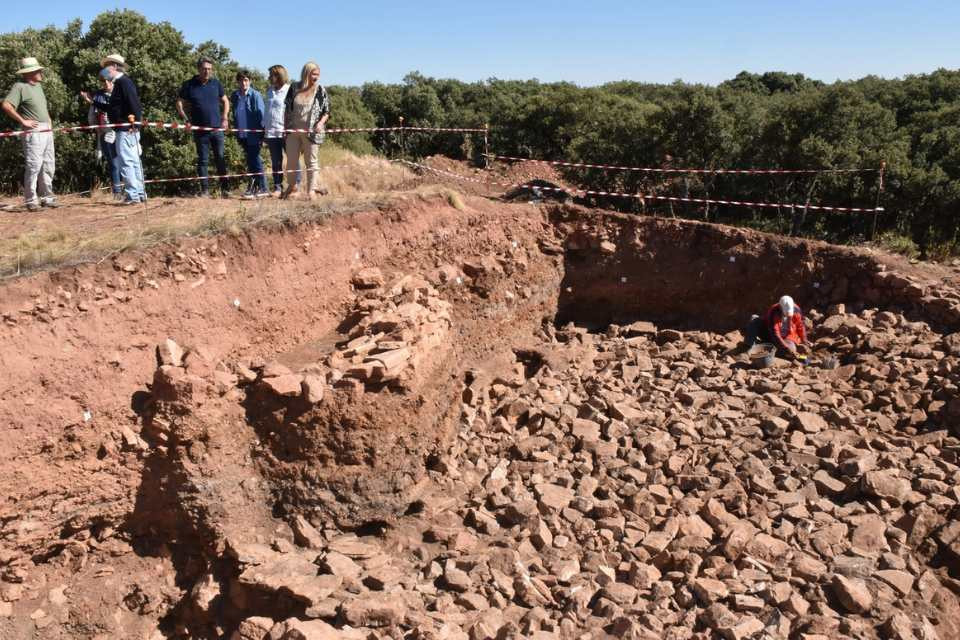 La coronilla medinaceli