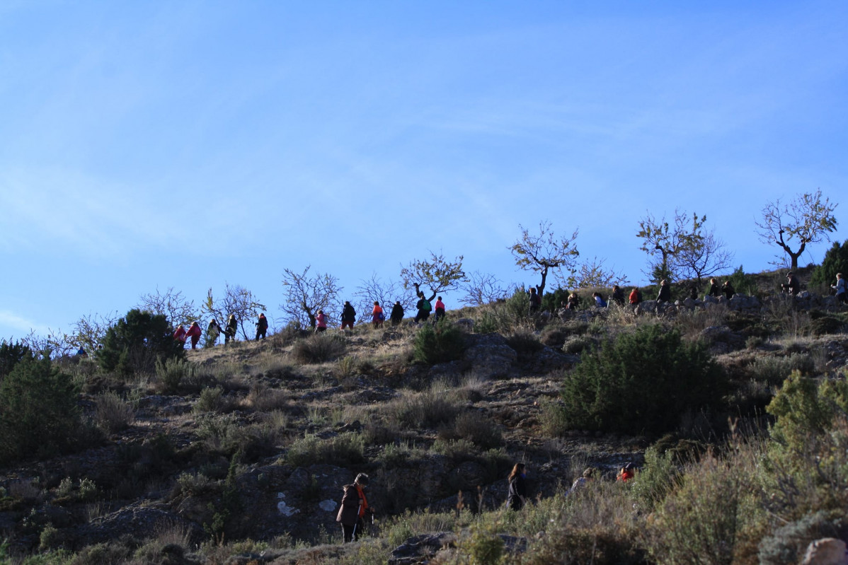 Jaraba andarines