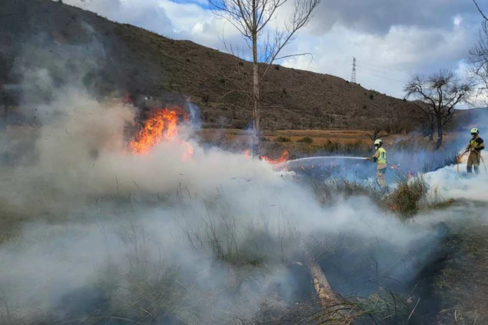 Fuego agru00edcola