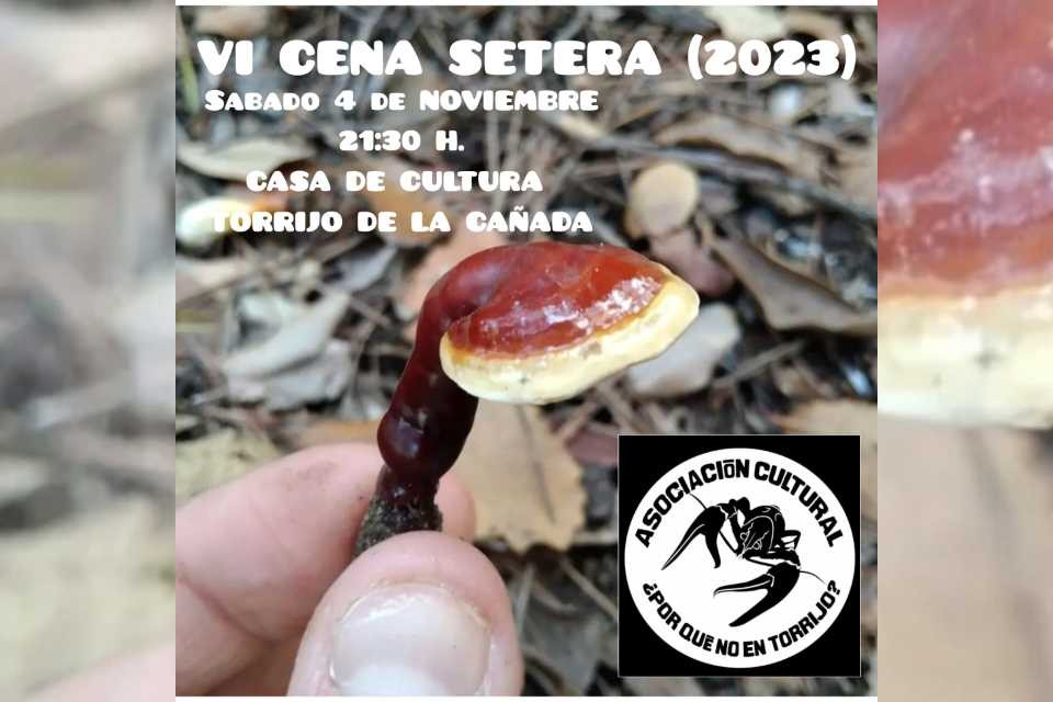 CENA SETERA