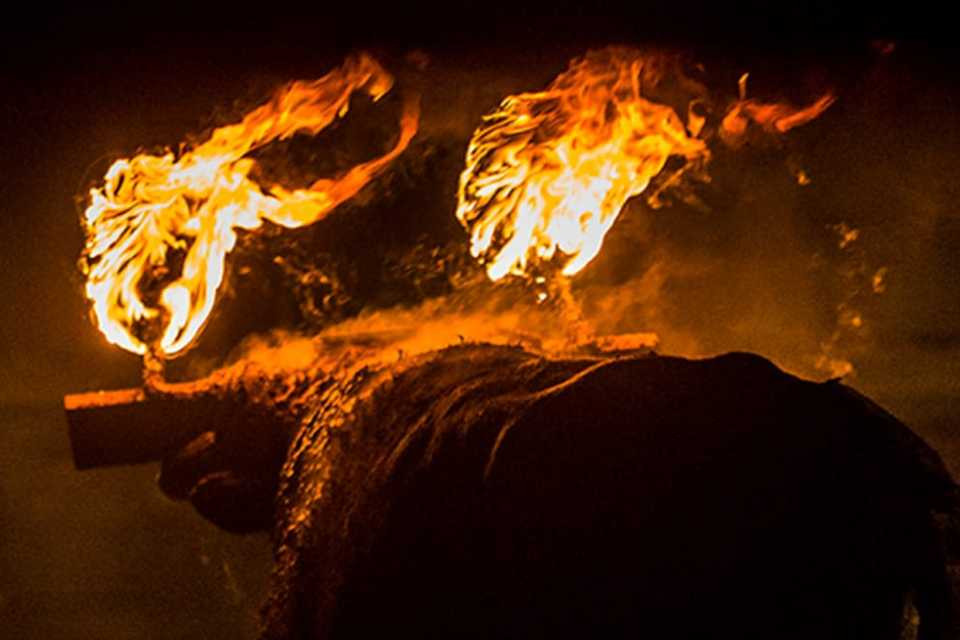 Toro jubilo