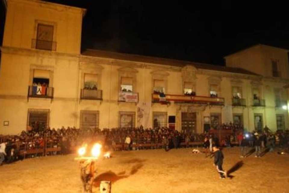 Toro jubilo