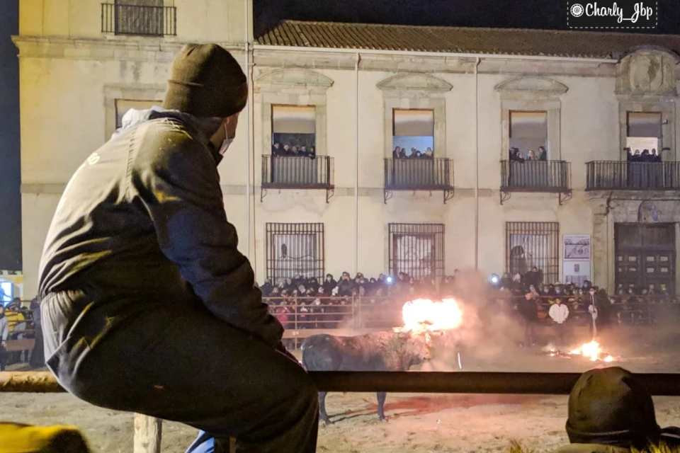 Toro jubilo