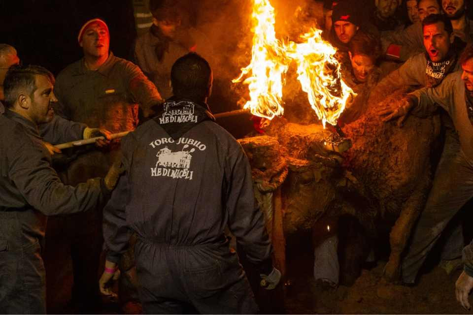 Toro jubilo