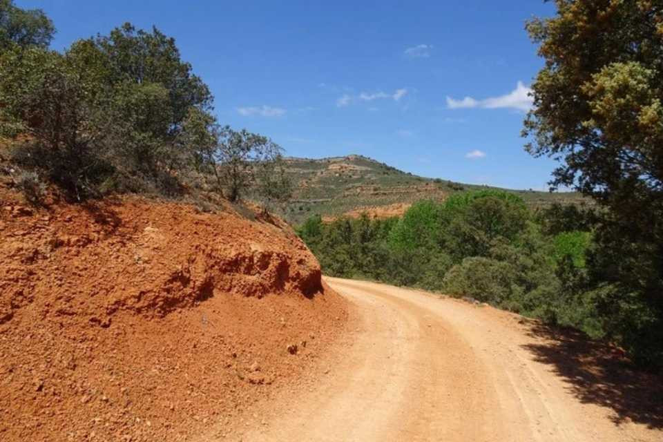 Camino