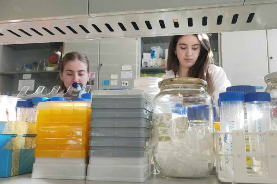 Investigadores